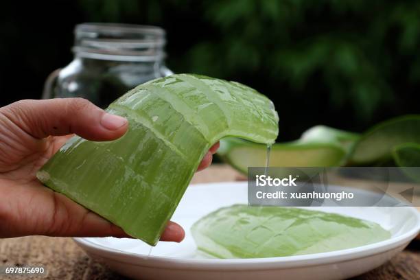 Photo libre de droit de Gel Daloe Vera banque d'images et plus d'images libres de droit de Gel d'aloe vera - Gel d'aloe vera, Aloe vera, Jus