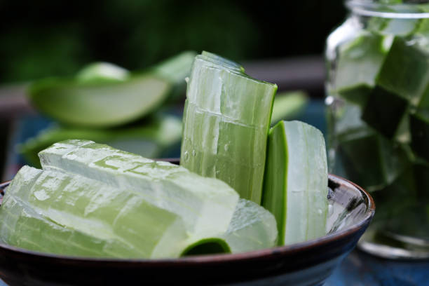 istock aloe vera, herb medicine 697875766
