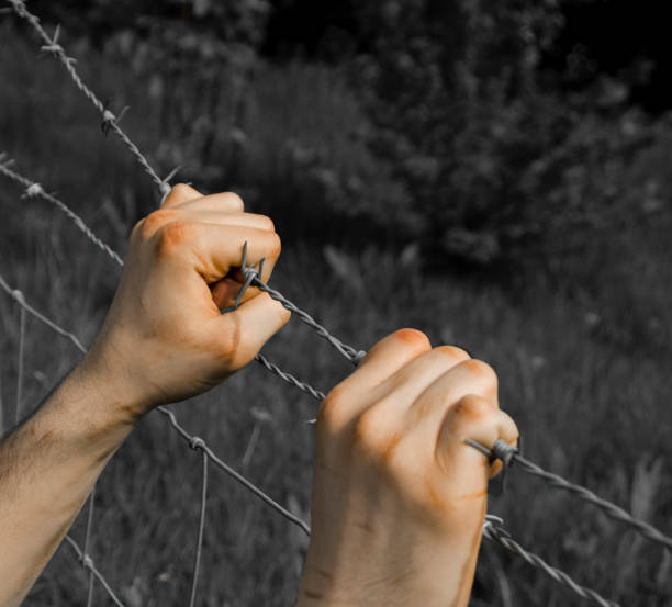 istock Coloured tortured hands grasping desperately barbed wire on black and white background 697883266