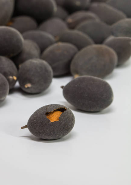 istock The Velvet tamarind ( Dialium cochinchinense ) Fruit native Thailand, isolated on white background 697884350