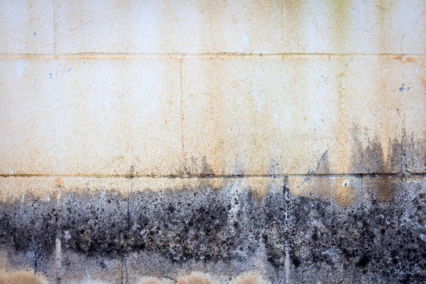 velho textura de fundo de parede de concreto bloco - rusty textured textured effect staple - fotografias e filmes do acervo