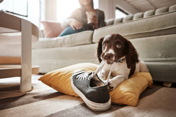 istock I told her there'll be consequences if she leaves me 697888244