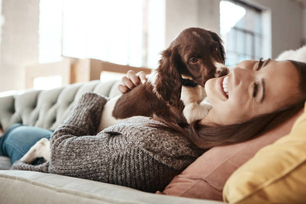 istock He has more personality than most people I know 697888406