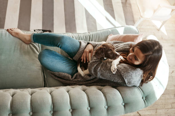 istock Who says my soulmate has to have two legs? 697888432