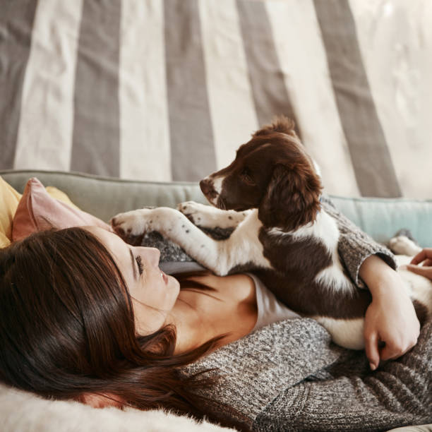 istock They fill an emptiness we didn’t even know we had 697888442