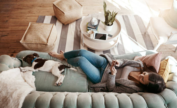 Home is the only place I want to be! Shot of an attractive young woman using her cellphone while relaxing at home lady dog stock pictures, royalty-free photos & images