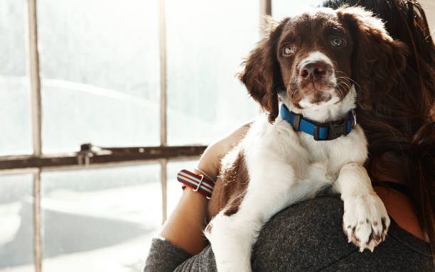 istock Some things just fill your heart without trying 697888492