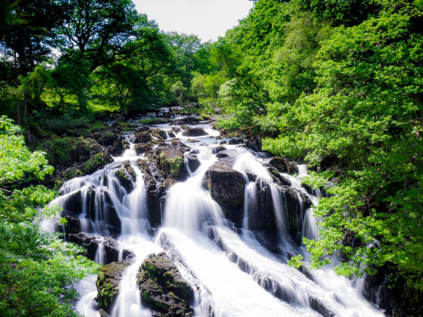 istock Swallow falls North Wales 697893846