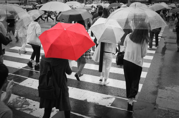 ombrello rosso - standing out from the crowd individuality umbrella contrasts foto e immagini stock