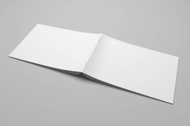 istock Blank 3D rendering brochure magazine on gray with clipping path No. 2 697908512
