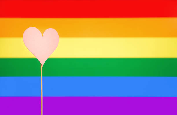 istock Gay pride and LGBT background. Rainbow flag design template with copy space. Heart cut from cardboard paper on wooden stick. Sexual minority, homosexuality and equal rights. Handmade love symbol. 697909562