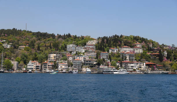 istock Buildings in Istanbul City, Turkey 697909650