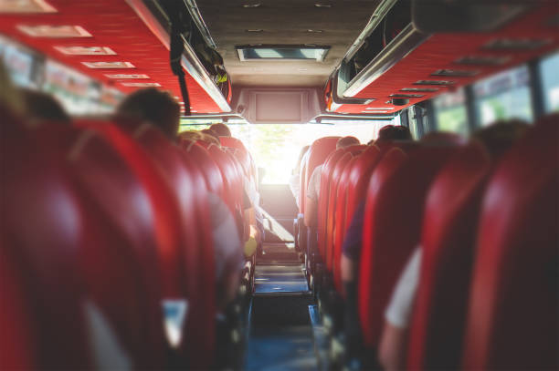View from back seat in a bus. People sitting in a coach. Public transportation concept with summer vibe.