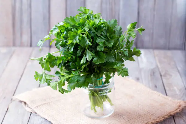 Fresh green parsley on the wooden table