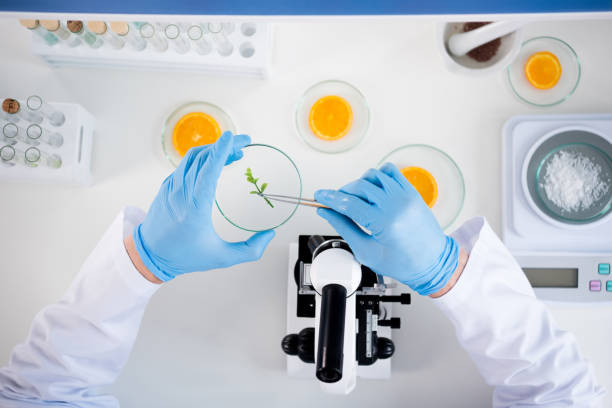 istock Male scientist during work at modern biological laboratory 697927108