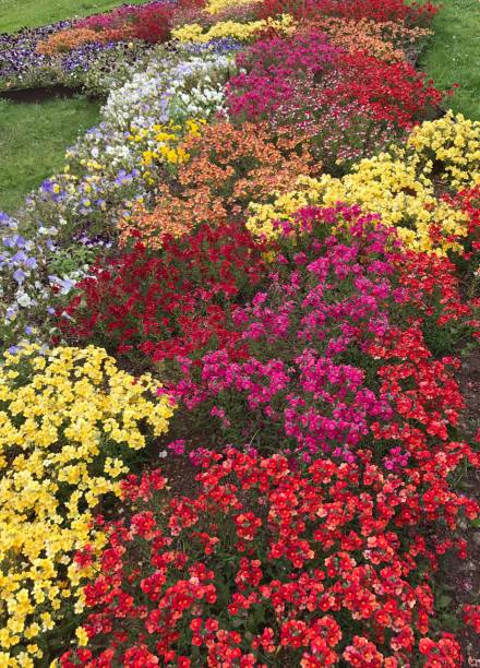 istock Italian garden 697927304