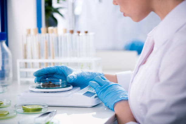 istock Female scientist during work at modern biological laboratory 697927370
