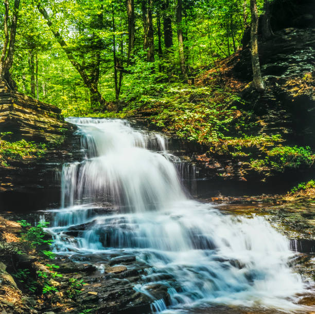 istock Ricketts Glen harbors Glens Natural Area 697927990