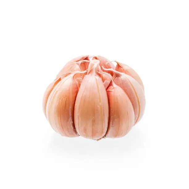 Close-up Photo of Red Garlic Organic Spice Studio Isolated on White Background