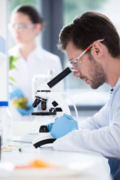 istock Male scientist during work at modern biological laboratory 697929432