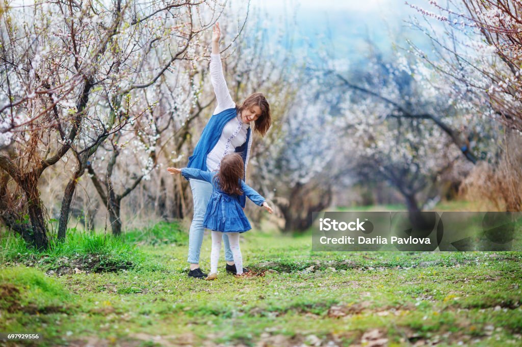 Mom and daughter mimic the wings of an airplane, standing in the midst of a flowering apricot garden The woman teaches the girl to fly. Mother and daughter stand in the midst of a blooming apricot garden, with arms outstretched Springtime Stock Photo
