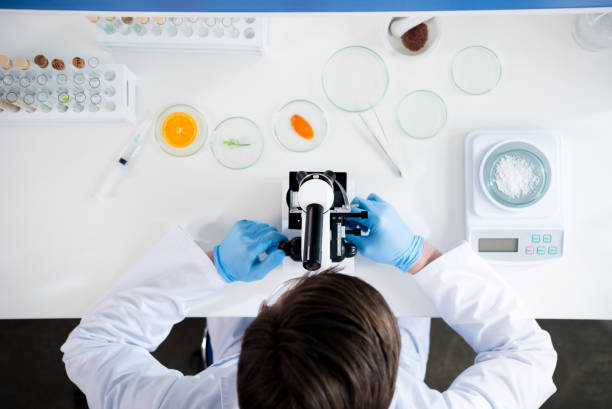 istock Male scientist during work at modern biological laboratory 697932482