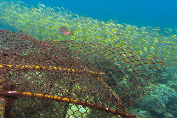 istock Discarded Fishing Ghost Nets in Ocean Environmental Damage 697932512