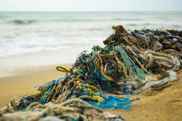istock Discarded Fishing Ghost Nets on beach Environmental Damage 697932572