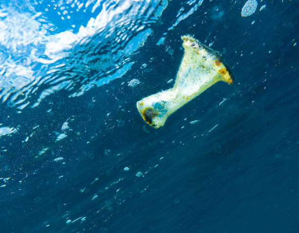 пластиковые загрязнения океана плавучий мусор патч глобальная экологическая проблема - surface level water surface emotional stress water стоковые фото и изображения