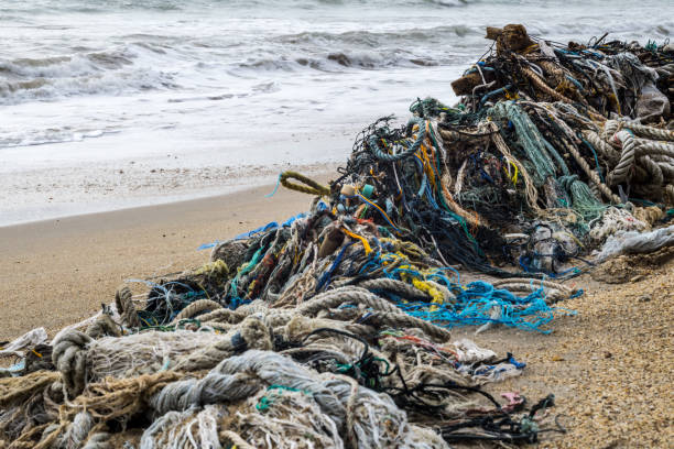 istock Discarded Fishing Ghost Nets on beach Environmental Damage 697932732