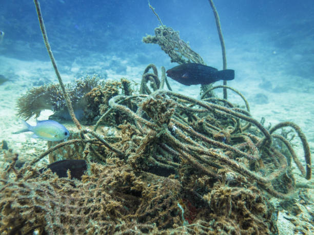 splątane sieci duchów rybackich w oceanie szkody środowiskowe - jednorazowa lina zdjęcia i obrazy z banku zdjęć