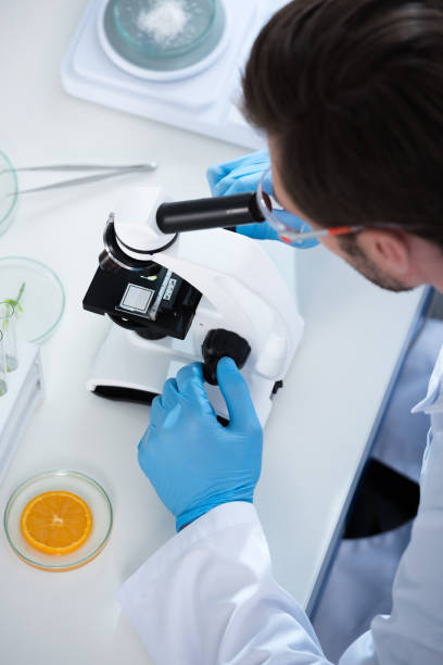 istock Male scientist during work at modern biological laboratory 697935684
