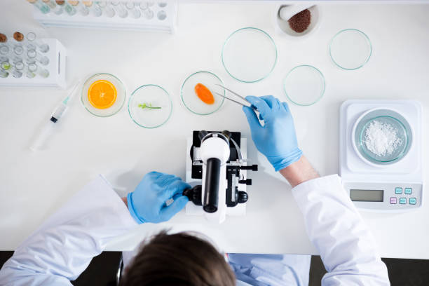 male scientist during work at modern biological laboratory - reagent imagens e fotografias de stock