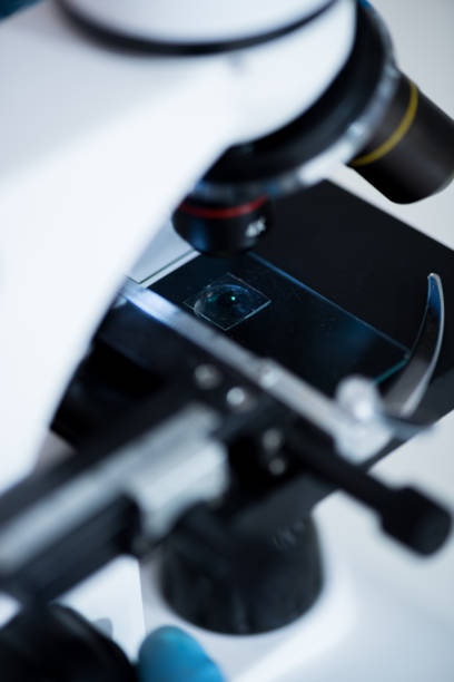 istock Close-up of microccope in modern biological laboratory 697936536
