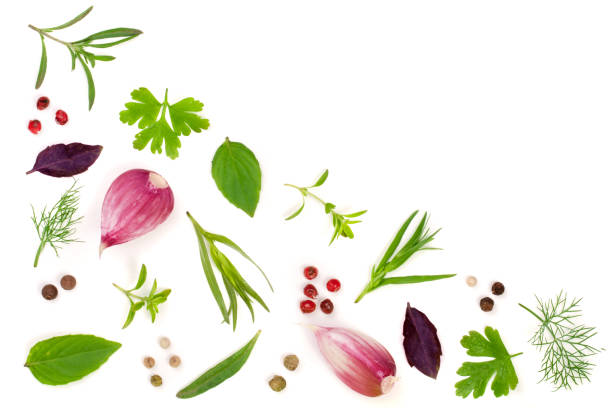 istock Fresh spices and herbs isolated on white background. Dill parsley basil thyme tartun peppercorns garlic. Top view 697938880