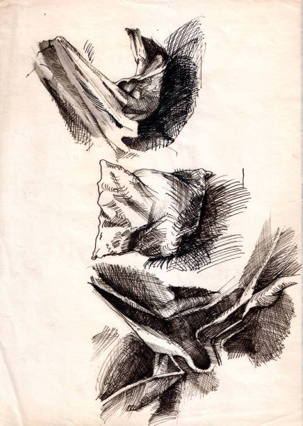 istock Texture, Drapery, Material.Classic pencil drawing on old paper, Sepia.Original Hand drawing 697946054