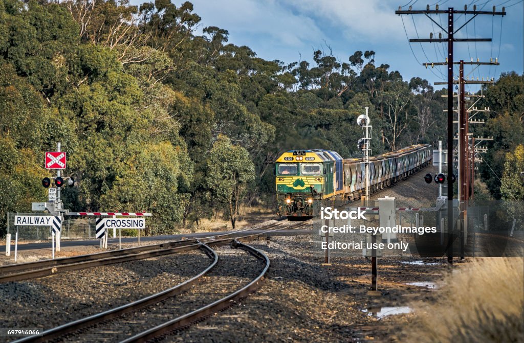 Pacific National grain train bursts into sunlight approaching road crossing Stawell, Australia – April 26, 2017:  Empty Pacific National grain train hauled by former Freight Australia locomotive with map of Australia on its front, bursts into a patch of sunlight as it races towards a protected road crossing in rural Victoria. Agricultural Occupation Stock Photo