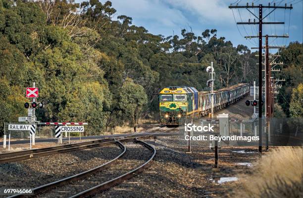 Pacific National Grain Train Bursts Into Sunlight Approaching Road Crossing Stock Photo - Download Image Now