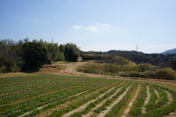 Of the countryside