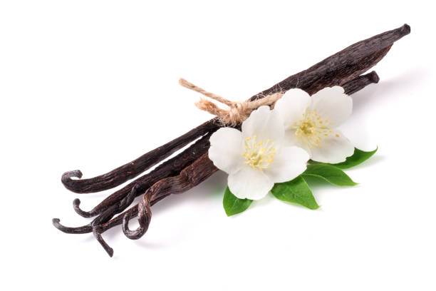 istock Vanilla sticks with flower and leaf isolated on white background 697950088