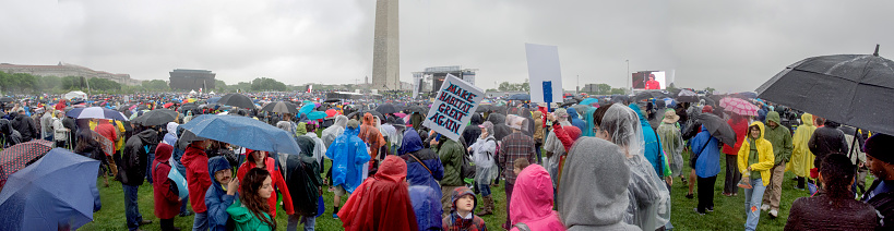 At the March for Science, Washington DC, April 22, 2017 (composite)