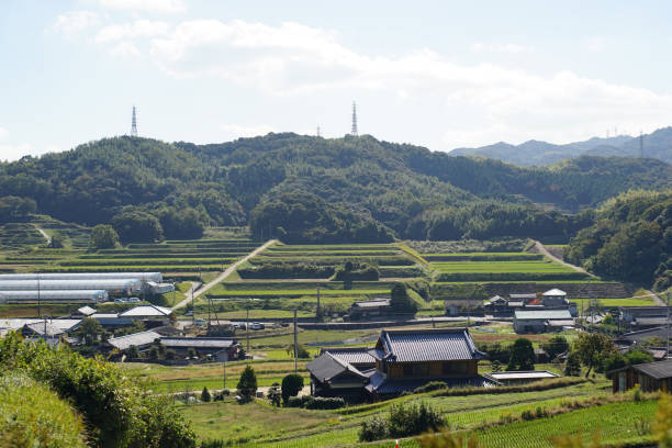 istock Of the countryside 697954592