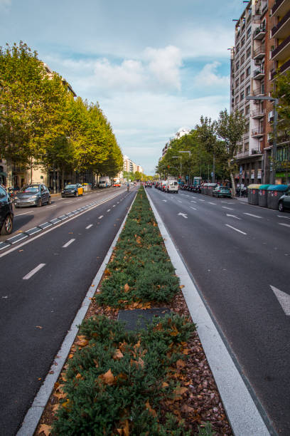 istock Avenue in Barcelona 697981806