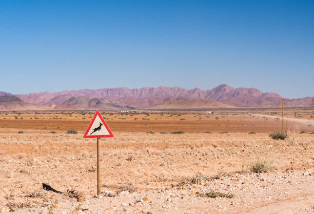 istock Warning sign with gazelle symbol in Namibia 697982414