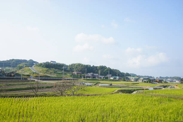 istock Of the countryside 697985850