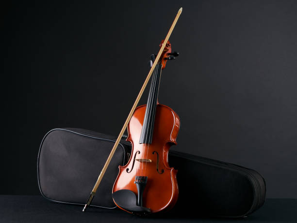 Classical wooden Violin with molded carrying black case.