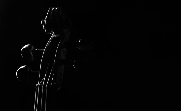 primer planos detalles de cabeza de violín aislado sobre fondo negro con espacio de copia - musical instrument string music dark old fashioned fotografías e imágenes de stock