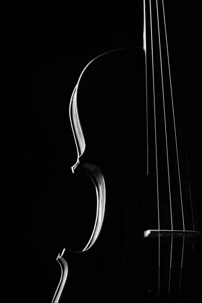 Photo of Violin classical music instrument close-up. Stringed musical instrument violin isolated on black background with copy space.