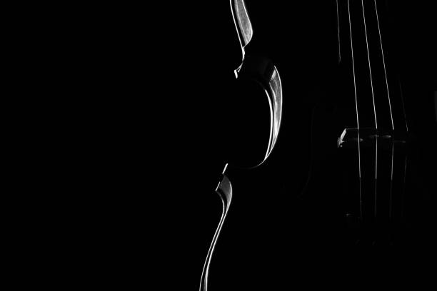 istock Violin classical music instrument close-up. Stringed musical instrument violin isolated on black background with copy space. 697997998