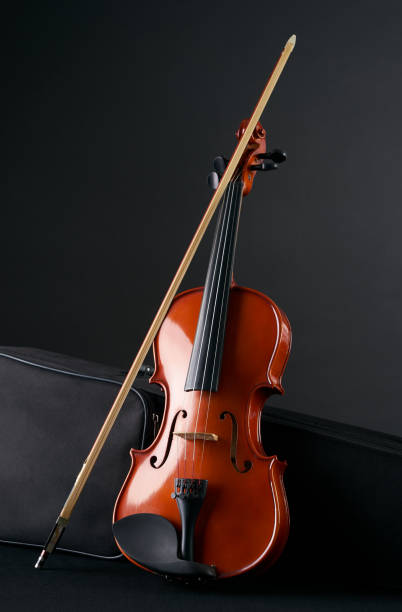 istock Classical wooden Violin with molded carrying black case. 698005284